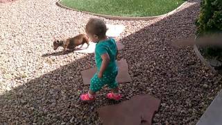 Backyard babies Vivian & Zaria