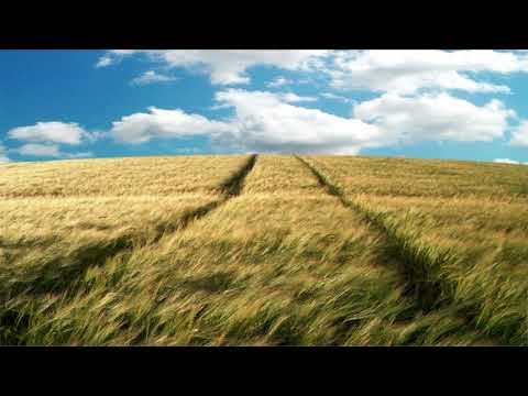 Tudor CHIRIAC - BALADA pentru ansamblu de violonceliști și pian