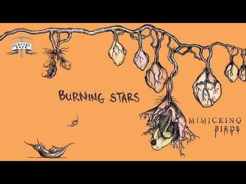 Mimicking Birds - Burning Stars (Official Audio)