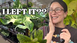 Lowe’s vs Home Depot Plant Shopping!