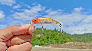 Download lagu UMPAN JITU..!! Mancing di air dangkal ikannya sangat agresif | Mancing casting pinggiran laut mp3