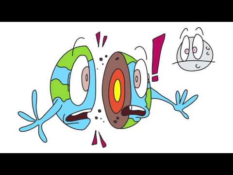 The world of languages