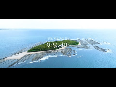 니치난  해안 국정  공원 아오시마
