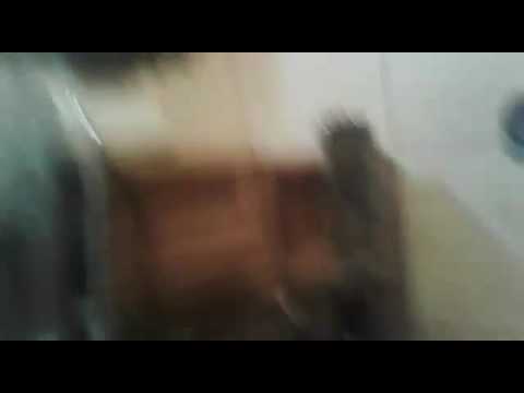 Cel mai renumit dansator la Argel