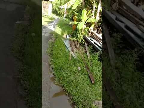 WhatsApp Video 2022 06 07 at 6 01 17 PM