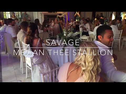 Promotional video thumbnail 3 for Harpist Kristen Gibbs & Band