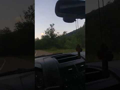 Sedam hiljada SUZA-NALE FLEJM