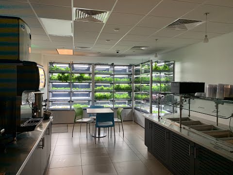 Babylon Guided Growing