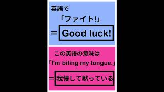 P2-22-2-4BO