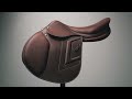 One of our most precious jewels | Renaissance F2S