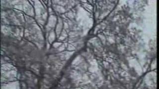 Durutti column - Prayer