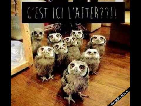 Best of House club belge  - La bush , Barcy cosy , H2o , La rocca , Zoo Club , Lotus , At The Villa