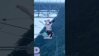 信号機になんかいる #shorts #関門海峡