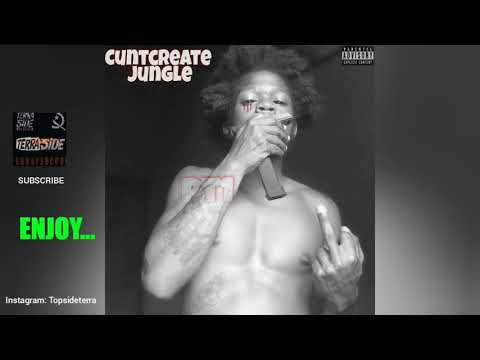 Terra Boss - Fuck the system (P1CuntCreateJungle)