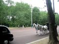 Horse Riding London Hyde Park