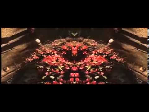 Ace Ventura Alrighty Then Meditation 10 HOUR!!!