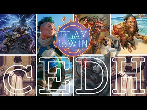 PLAY TO WIN vs THE HERMIT DRUID - TYMNA|KRAUM - KINNAN - ROGRAKH|TEVESH SZAT - TYMNA|DARGO