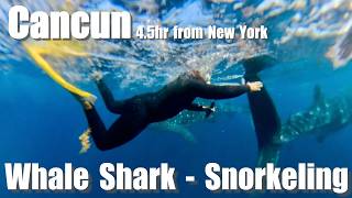 【カンクン】ニューヨークから簡単に行けるメキシコ・カンクンでジンベイザメとシュノーケリング・Insta360X5　＃カンクン観光　＃カンクン旅行