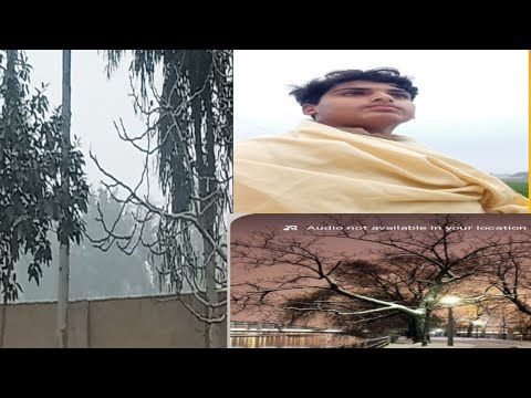 sardi  wapes agai,🥶🥶🥶😭