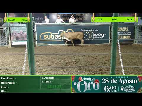 Subasta Virtual - Presencial Sampues Leche Para La Sabana (E31) 02/08/2026