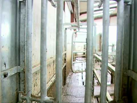 Alfco Drafting Gates video thumbnail