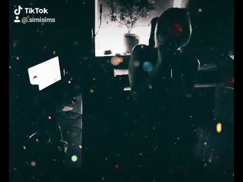 Nische - Alin Coen und LOT