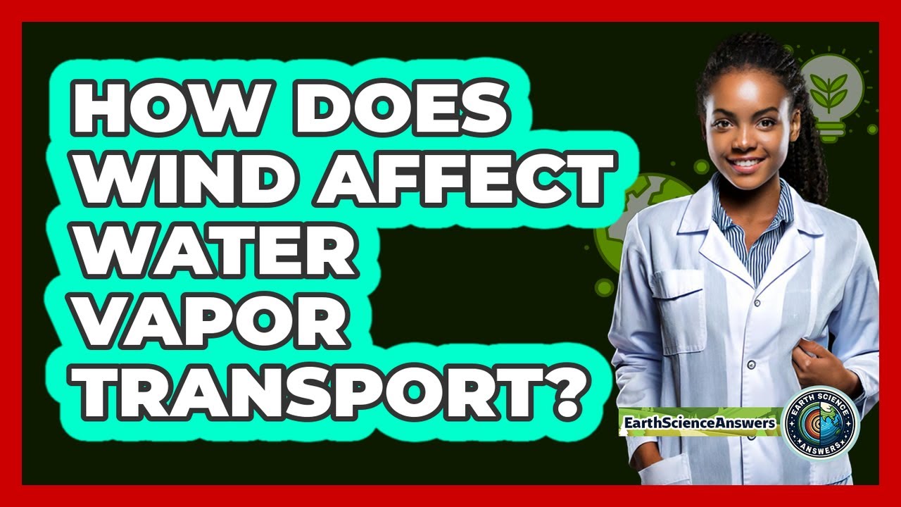 How Does Wind Affect Water Vapor Transport?