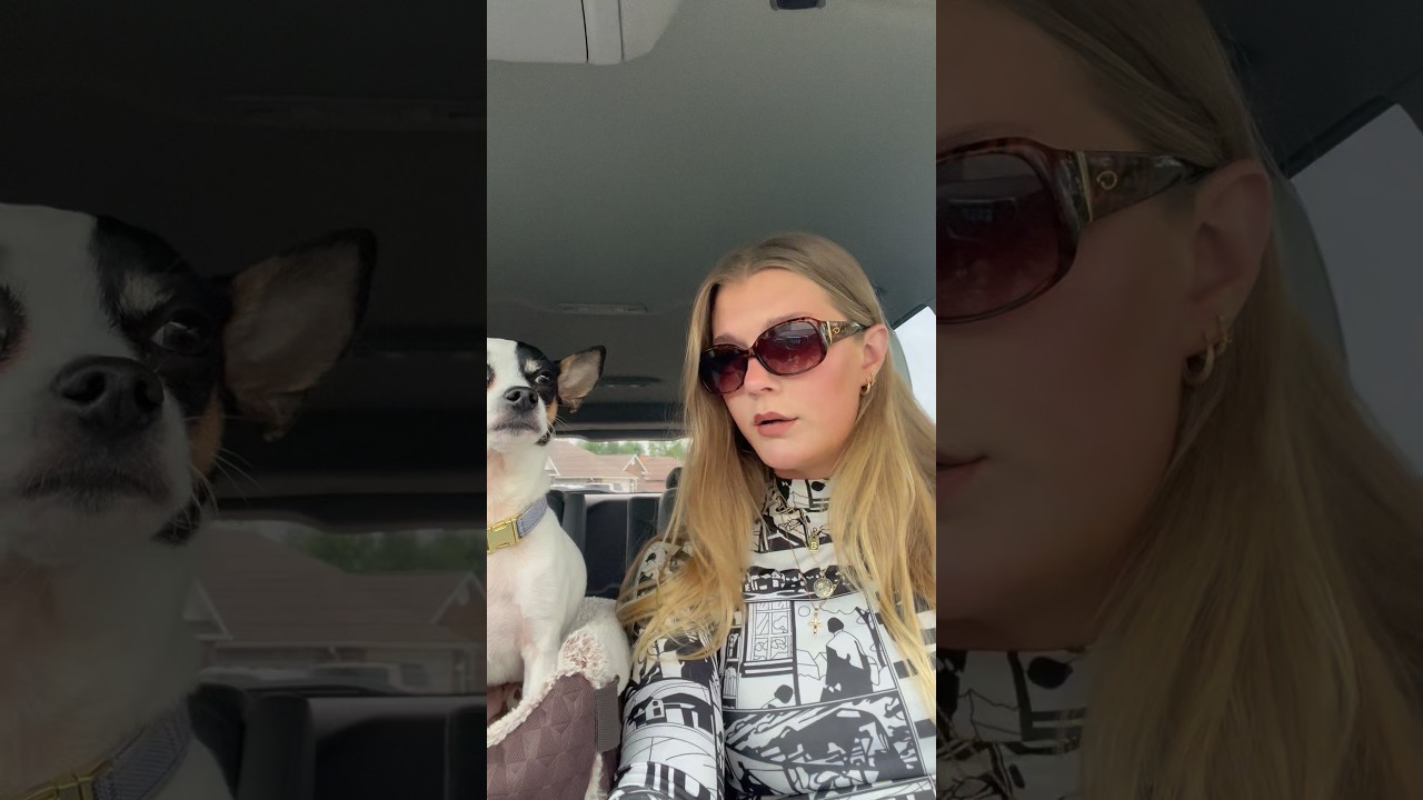 A day in the life #artist #dayinthelife #art #painting #chihuahua