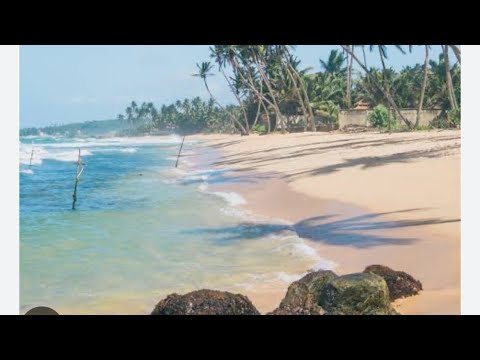 🏖️ what the beautiful beaches of Srilanka?@Prof.Dr.Samina