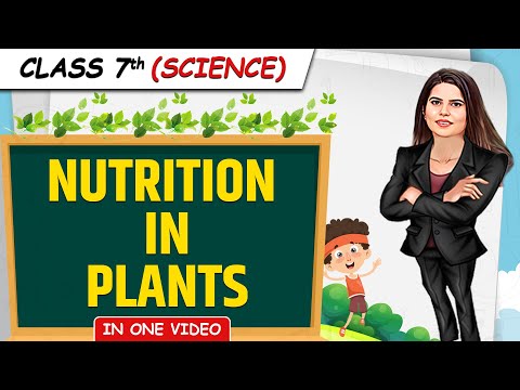 NUTRITION IN PLANTS -- Full Chapter in 1 Video -- Class 7th Science ...