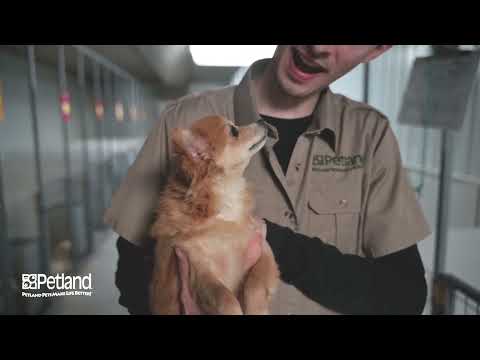 Kennel Tour 182