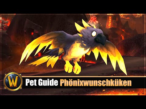 Rätsel Pet/Gold Guide: Phönixwunschküken