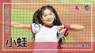 【台湾チア】小蛙 / Dragon Beauties小龍女 / 2023.6.28 林孝程,曾陶鎔,蔣少宏 應援曲 + 嗆司曲 叱吒雲霄 + Dragons Tempo [中文歌詞]