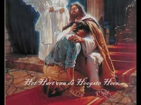 Onrustig hart Rose Glisten .wmv