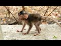 Really Great Chaplin Learning To Walk Successfully
