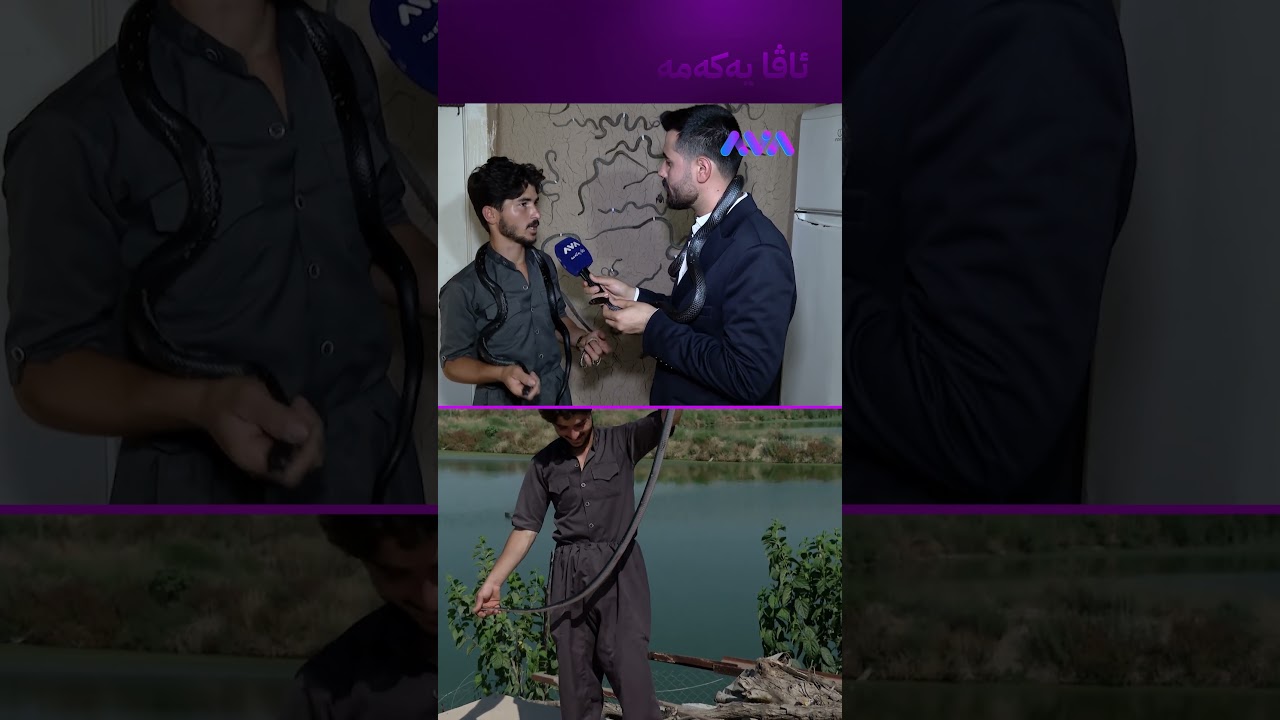 ڤیدیۆ | ئەوەی دەست بۆ ماسییەکانم بێنێ ئاوای لێ دەکەم
