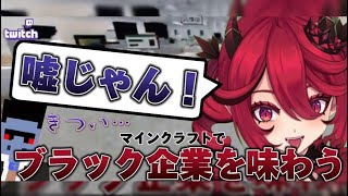 【切り抜き】マイクラでブラック企業を味わうがポンコツすぎて詰んでしまう新人VTuber【七瀬乃亜】