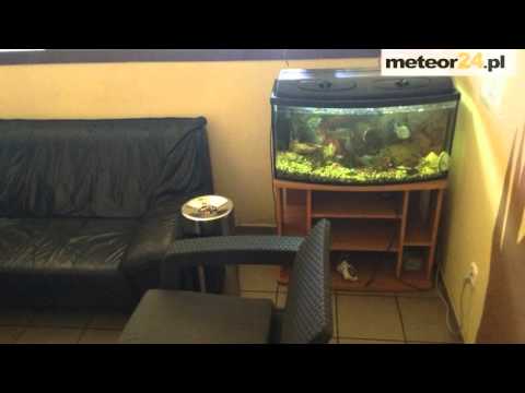 Tanie Noclegi Pracownicze Inwestdom - Katowice meteor24.pl