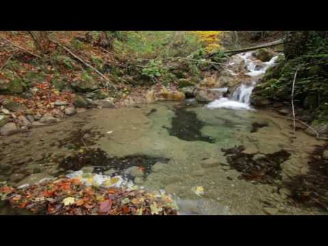 How To Find Trout in Rivers and Streams