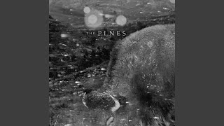 Music video thumbnail preview for Wild Bill Jones by The Pines
