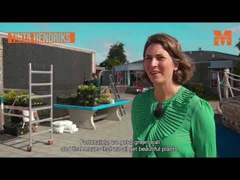 Cool Towns   Groen schoolplein in Arnemuiden