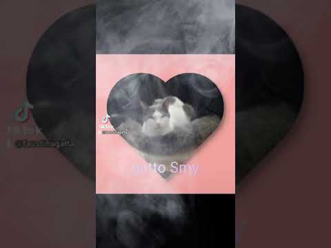 💖la nebbia dolce e un po' triste dei ricordi più belli....