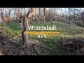 Paintball San Antonio Tippmann Cronus Charlie S Woodsball 020423