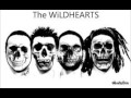 the wildhearts   bi polar baby