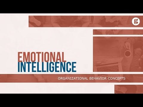 What is Organizational Behavior