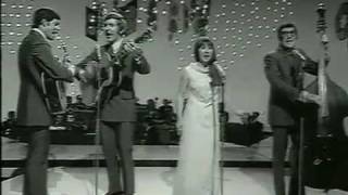 The Seekers - Love Is Kind Love Is Wine