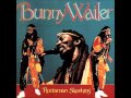 Bunny Wailer   Rootsman Skanking 1981   05   Rootsman Skanking