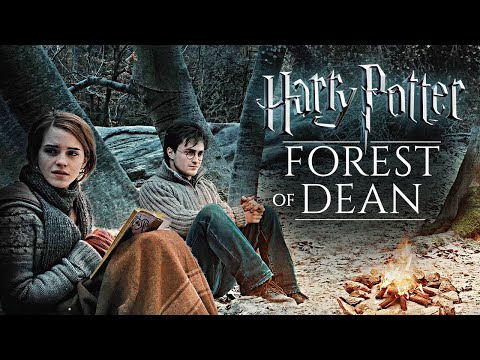 Camping with Harry & Hermione in the forest ◈ Harry Potter inspired Ambience + Dialogue / Soft Music