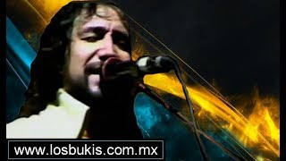 Los Bukis en Vivo - Si ya no te vuelvo a Ver 1995