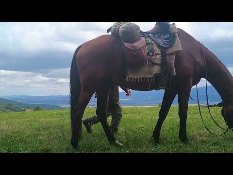 klif-Cesta na 100 mil 25